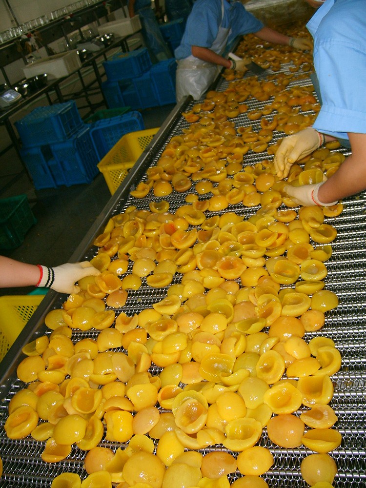 食品輸送機(jī)