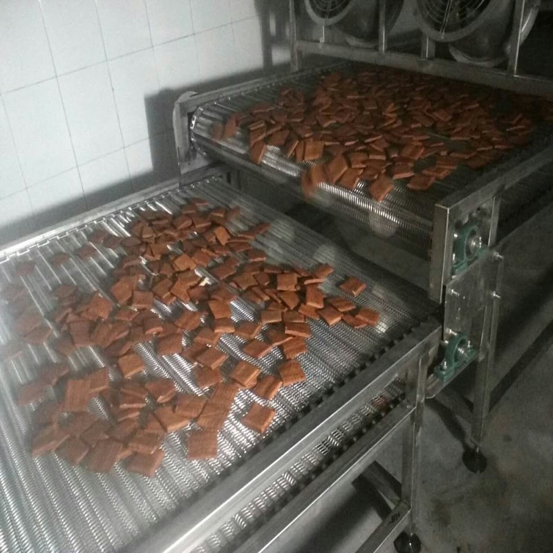 豆干輸送機(jī)